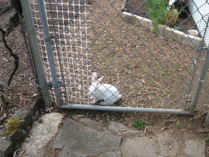 [Thumbnail for spring07 088.jpg]